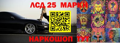 a pvp Новозыбков