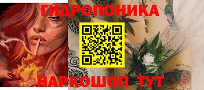 a pvp Новозыбков