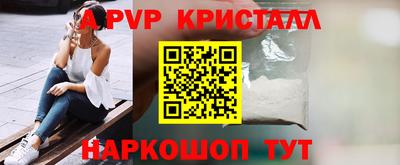 a pvp Новозыбков
