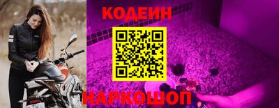 a pvp Новозыбков