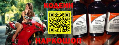 a pvp Новозыбков