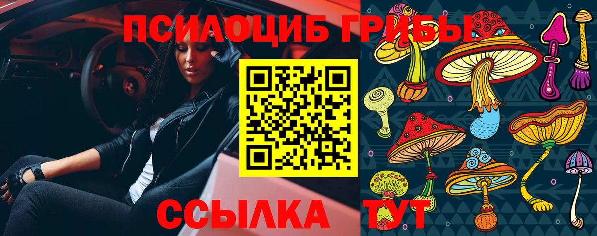 Чехов  Псилоцибиновые грибы Magic Shrooms  Псилоцибиновые грибы Magic Shrooms  Вход с VPN 