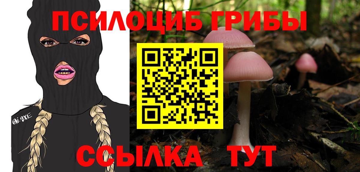 Псилоцибиновые грибы ЛСД Чехов